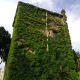 La parte sommitale dell'edificio